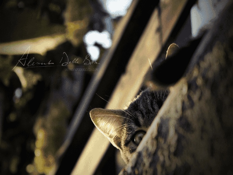 天津 试管哪家好(济南不孕不育价格费用)